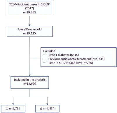 Clinical characteristics and degree of cardiovascular risk factor control in patients with newly-diagnosed type 2 diabetes in Catalonia